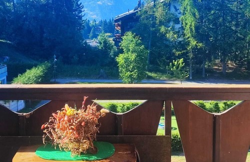Montana Apartment | Cozy Studio in Crans-Montana, 300mt from the SKI-Area- Pet-Friendly!