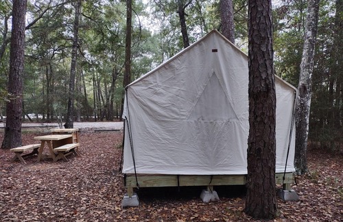 West Livingston RV Rental | Tentrr State Park Site - Texas Lake Livingston State Park - Site B - Single Camp