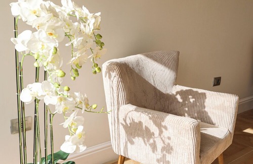 Caiazzo Bed & Breakfast | Petrus Rooms