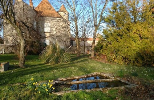 Artonne Villa | 15th century castle, up to 15 pax, pool and park
