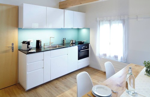 Brienzwiler Apartment | Chalet loft "Rothorn" in Brienzwiler - surrounded by mountains, forest and water