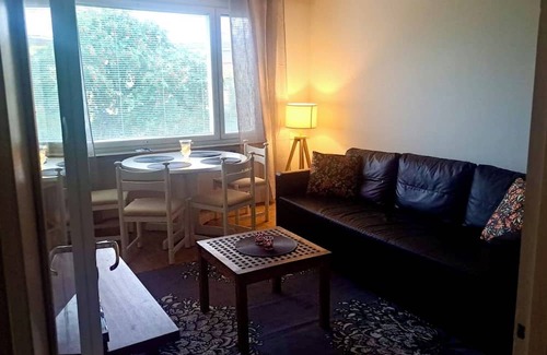 Kemi Apartment | Interesting Kemi Apartment with Sauna department & Free Parking