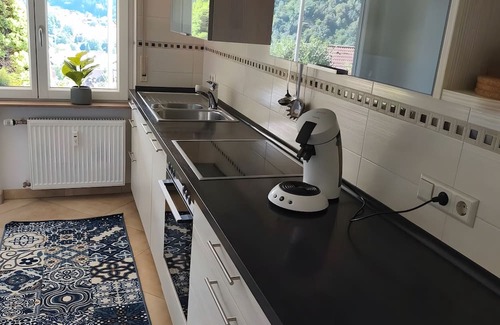 Wolfach Apartment | Apartment 'Kinzigtalblick' with Mountain View, Private Terrace and Wi-Fi
