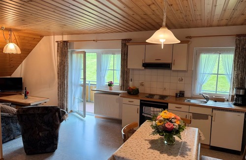 Wieden Apartment | Holiday Apartment with Mountain View 2 with Balcony and Wi-Fi