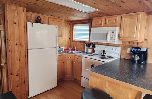 Moore Cabin | Charming tiny home cabin in peaceful Moore