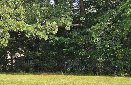 Lake Arbor Apartment | Well Located, Well Loved