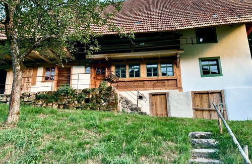 Elzach House | Holiday Home 'Ferienhaus Hederle' with Mountain View, Private Terrace and Wi-Fi