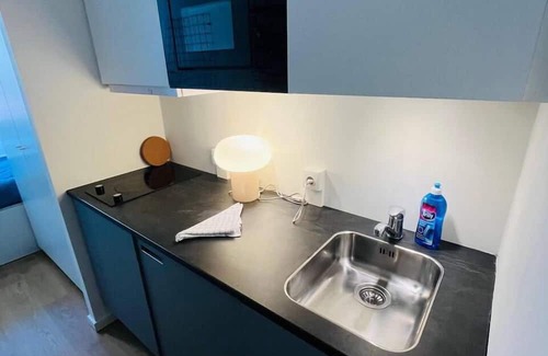 København NV Apartment | Copenhagen Studio with Double Bed and Kitchen
