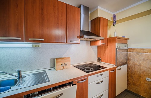 Trnovska Apartment | Comfortable Apartment with Terrace at Siva Čaplja