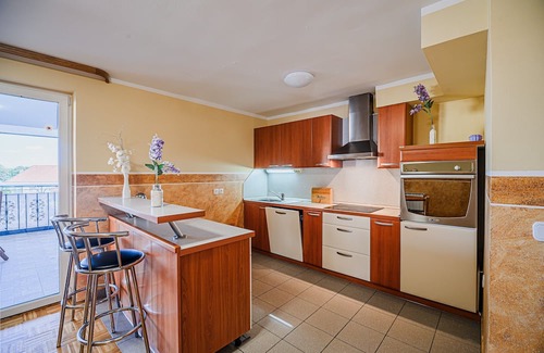 Trnovska Apartment | Comfortable Apartment with Terrace at Siva Čaplja