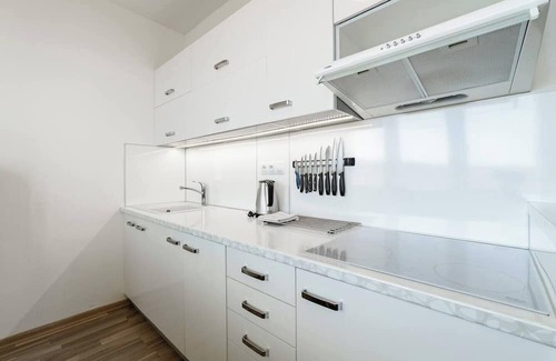 Kovarska Apartment | Vacation apartment with a view of Klínovec in Kovářská in the Ore Mountains