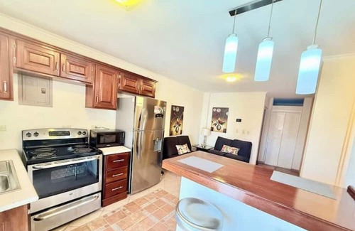 Tegucigalpa Apartment | Brassavola Suites - Apt 302