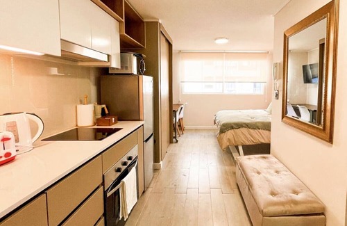 Downtown Santiago Apartment | Estudio Santa Elvira | Home Office Laundry Wifi