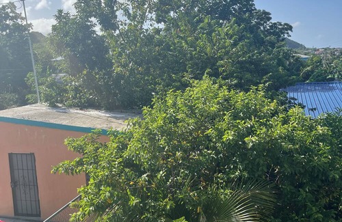 Basseterre Apartment | Spacious 4-bedroom apartment in adorable Historical Sandy Point with AC