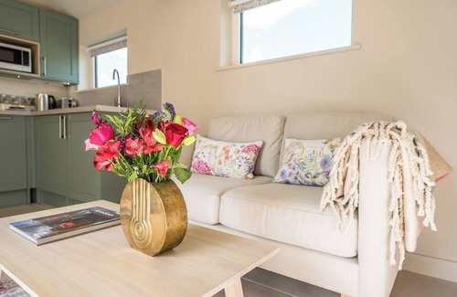 Brampton Apartment | 1 Ley's Corner, Brampton