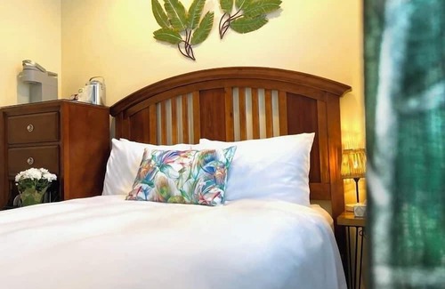Provincetown Cabin | A Departure From the Ordinary: Our Tropical Escape