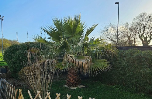 Les Sorinieres House | Chez Audrey