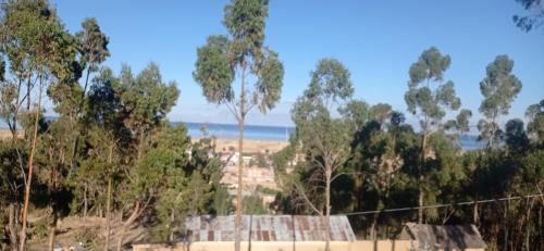 La Paz House | La Esperanza Carabuco