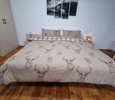 Kvartal Noviya Grad Apartment | Studio Vihren 11,Bansko