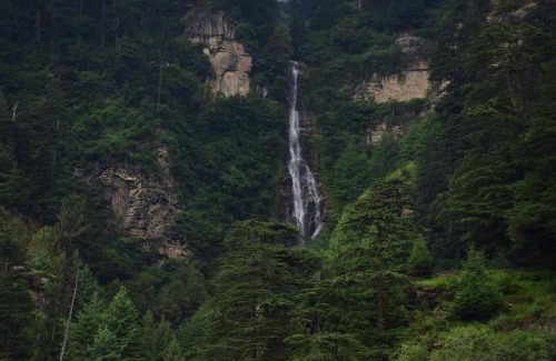 Manali House | Hotel Ishan Regency