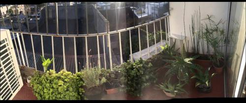 Montevideo House | Parque Rodo cerca de todo