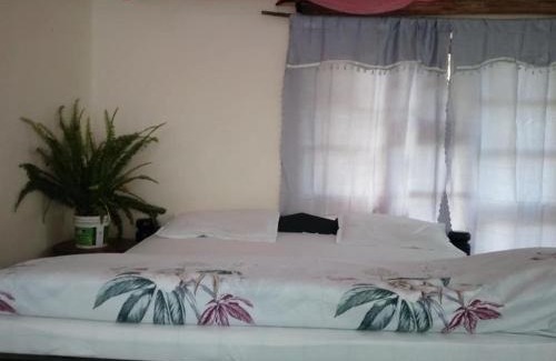 Arusha Bed & Breakfast | Jungle lodge