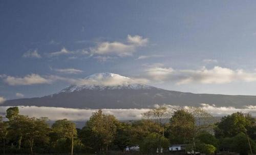Arusha Bed & Breakfast | Jungle lodge