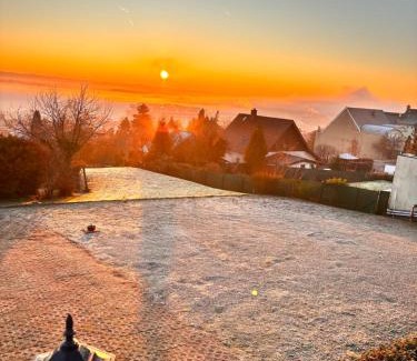 Heviz Apartment | Phoenix Wellness Apartman Panzió