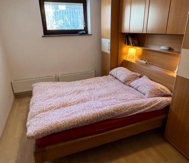 Gozd Martuljek Apartment | Quiet ground flat