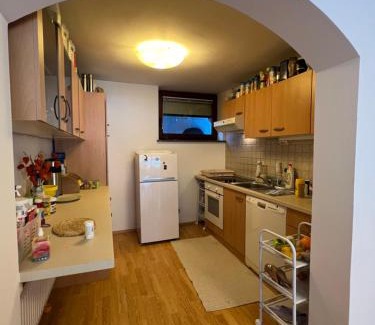 Gozd Martuljek Apartment | Quiet ground flat