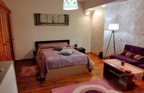 Ghimbav Apartment | Milu Residence 2