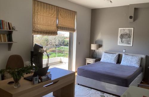 Mytikas Apartment | Vila irini