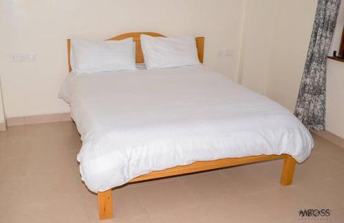 Nakuru Apartment | Ludwicks Barn House