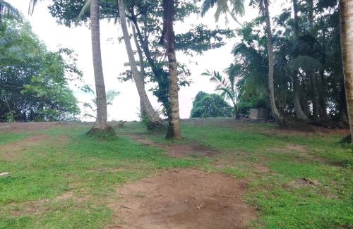 Darga Town Apartment | Bentota River Edge Home