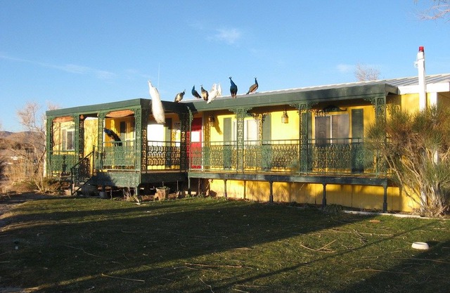 Shady Lady Bed and Breakfast