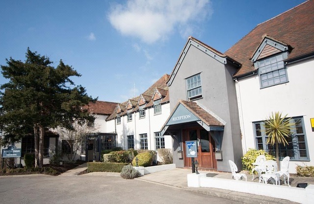 The White Swan