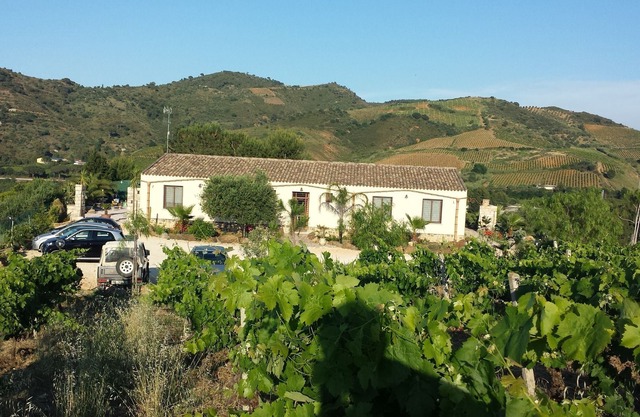 La Suite di Segesta
