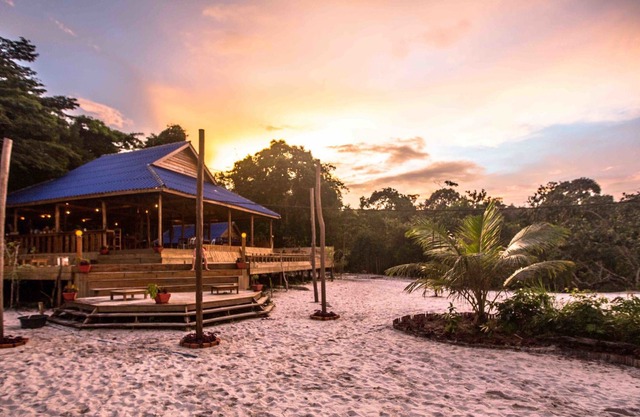 Nest Beach Club