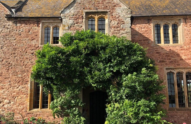 Blackmore Farm