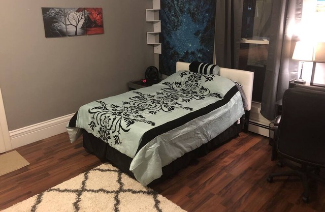 Pet Friendly Studio Apartment Next to Downtown Bangor