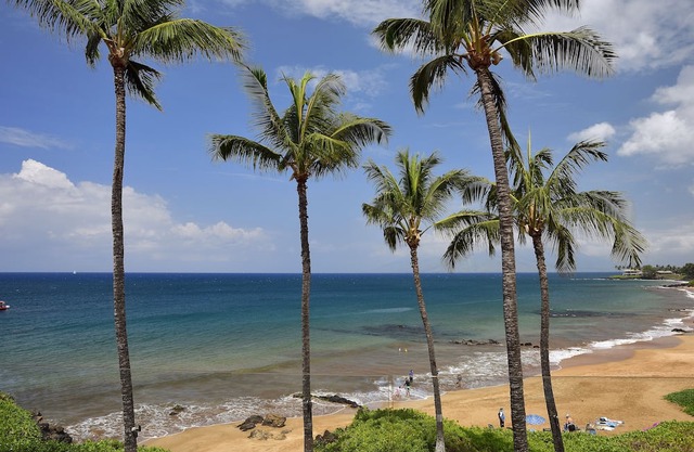 Beachfront Condo E 303/ Incredible views/ Pickleball/Snorkeling/
