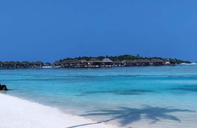 Courtyard Maldives