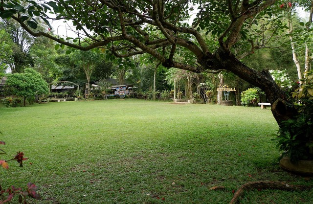 Omah Kebon Guest House