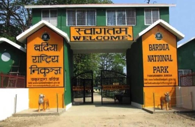 nBardiya Jungle Retreat - campsite 5