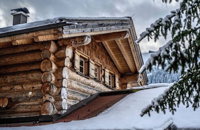 Exclusive chalets with sauna, whirlpool & fireplace - pets welcome