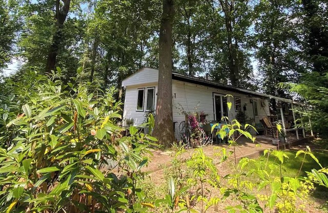 Forest cottage on the Veluwezoom