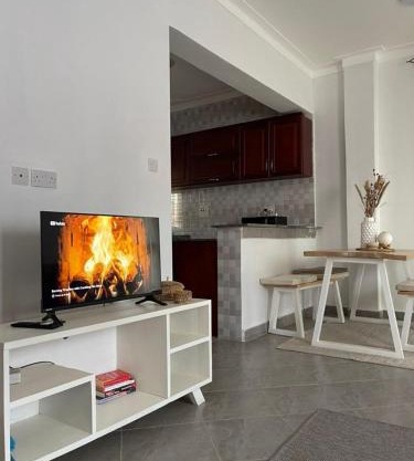 Modern 2BR Apt near Acacia Mall and Kololo