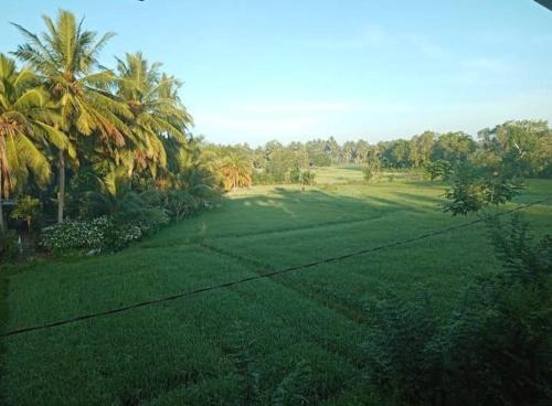 Saman Guest House Katharagama
