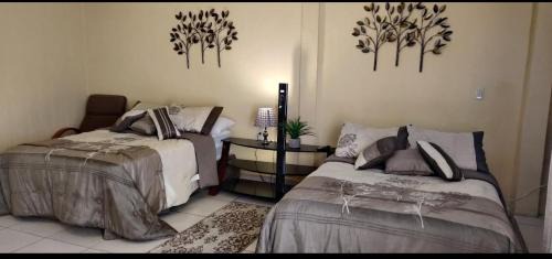 Suites Pozos Mágico
