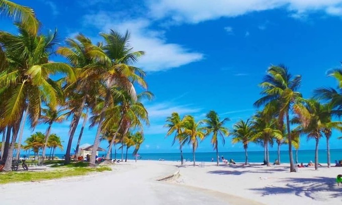 Coconut Grove Apartment | STUDIO, Lateral Sea View, Balcony, Hotel Arya, Kitchenette. FREE PARK/POOL/GYM